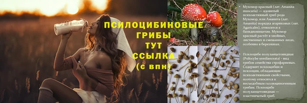 стаф Бугульма