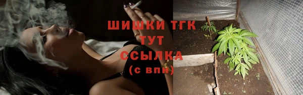 гидра Бородино
