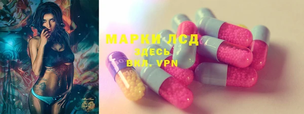 гидра Бородино