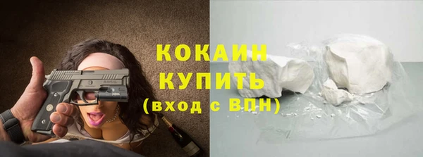 гидра Бородино