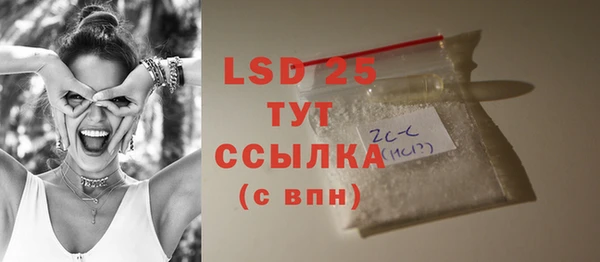 гидра Бородино