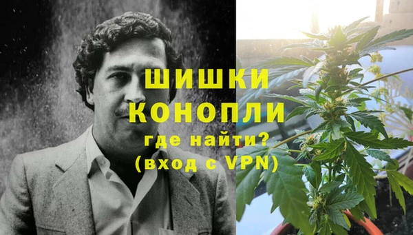гидра Бородино