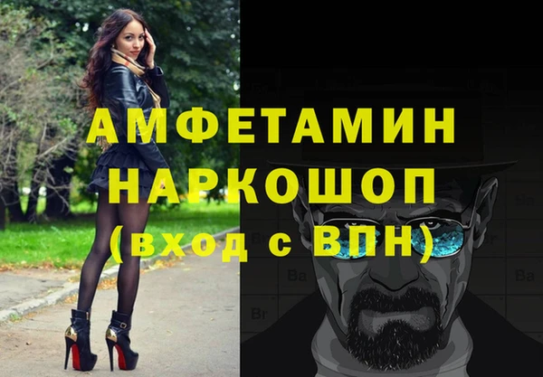 гидра Бородино