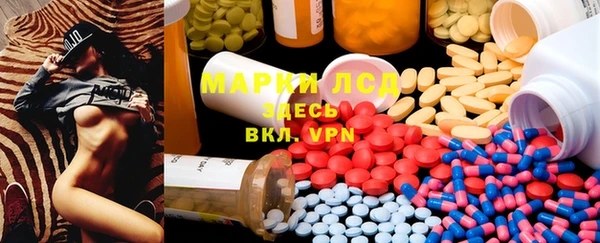 гидра Бородино