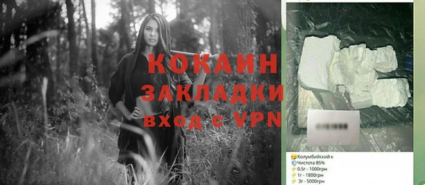 гидра Бородино