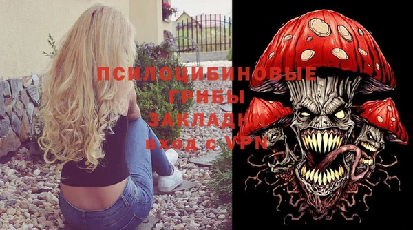 гидра Бородино
