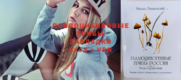 гидра Бородино